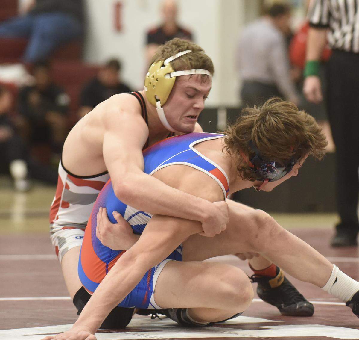 Bellefonte’s Ethan Richner will look to finish higher in his second PIAA Championships. He finished seventh last year.