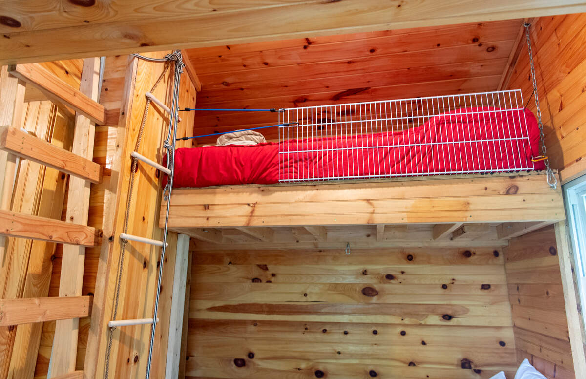 Ladders to the lofted single beds in the treehouse.