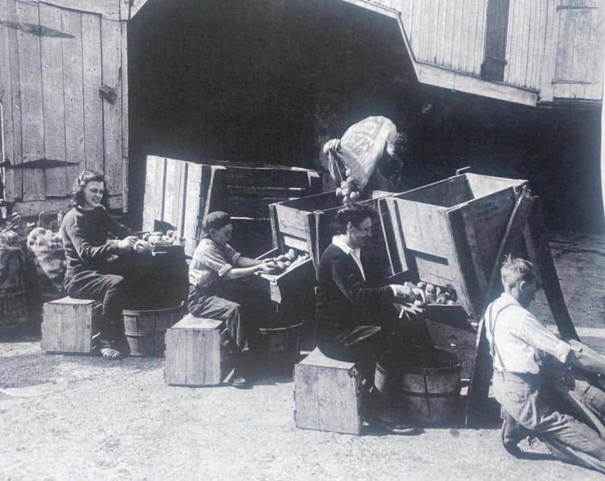 Millie Kepler, second from the right, peels potatoes outside the Kepler Barn sometime before 1932. To her immediate right is believed to be her son Aaron Kepler, who died in 1931 at the age of 13 while crossing a nearby road. Kepler, a widow, experienced a lot of pain in her life, but she was known for being thoughtful and never giving up. She was also known as the “Rosie the Riveter of the farm world.”