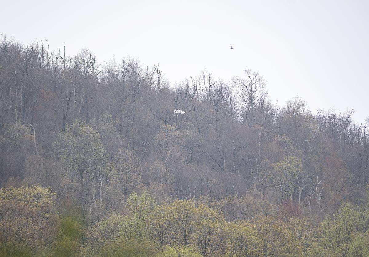 Debris in a tree on Sandy Ridge Mountain after a small plane crash on Wednesday, May 1, 2019.