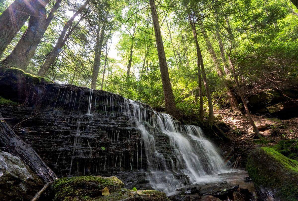 Sun shines through the trees at Yost Run Falls in Sproul State Forest on Monday, June 17, 2024. The waterfall is in the northern tip of Centre County.