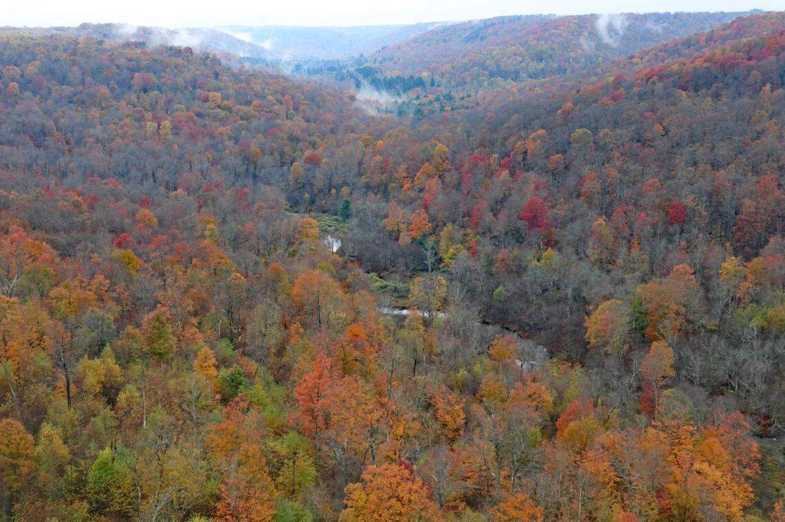 View of fall foliage in the Kinzua Creek Valley from the Skywalk.