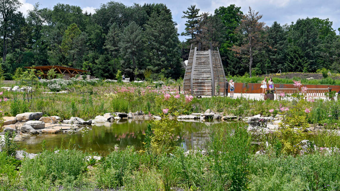 Pollinator Bird Garden Opens In The Arboretum At Penn State Morning