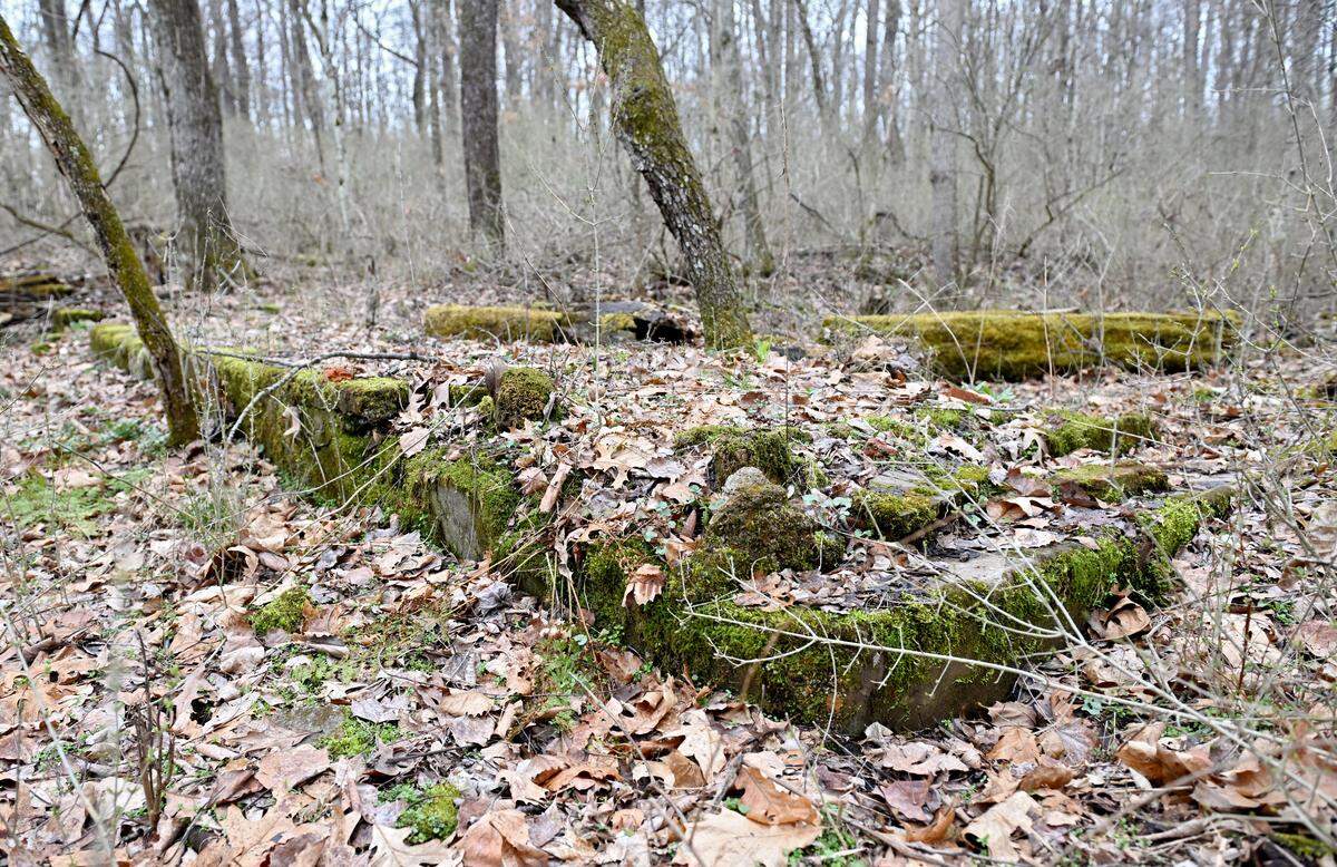 Moss and leaves cover the remains of a 1890s era building in Scotia on Friday, March 27, 2026. Local historian Bob Hazelton said the ruins are the porch of an old store.