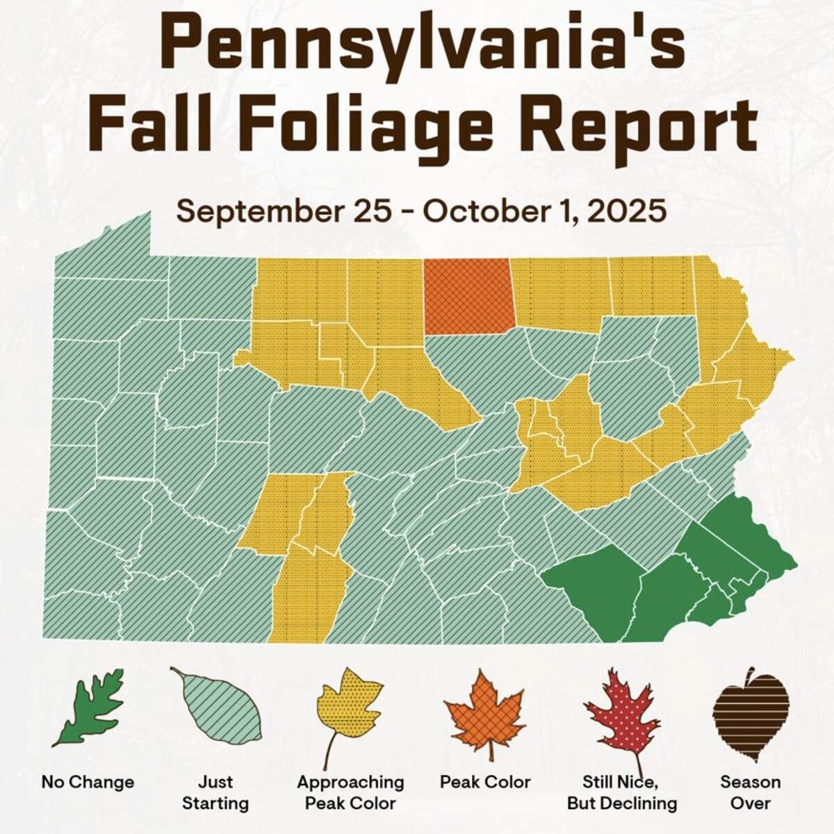 A map from the Pennsylvania Department of Conservation and Natural Resources shows fall foliage projections by county through Oct. 1.
