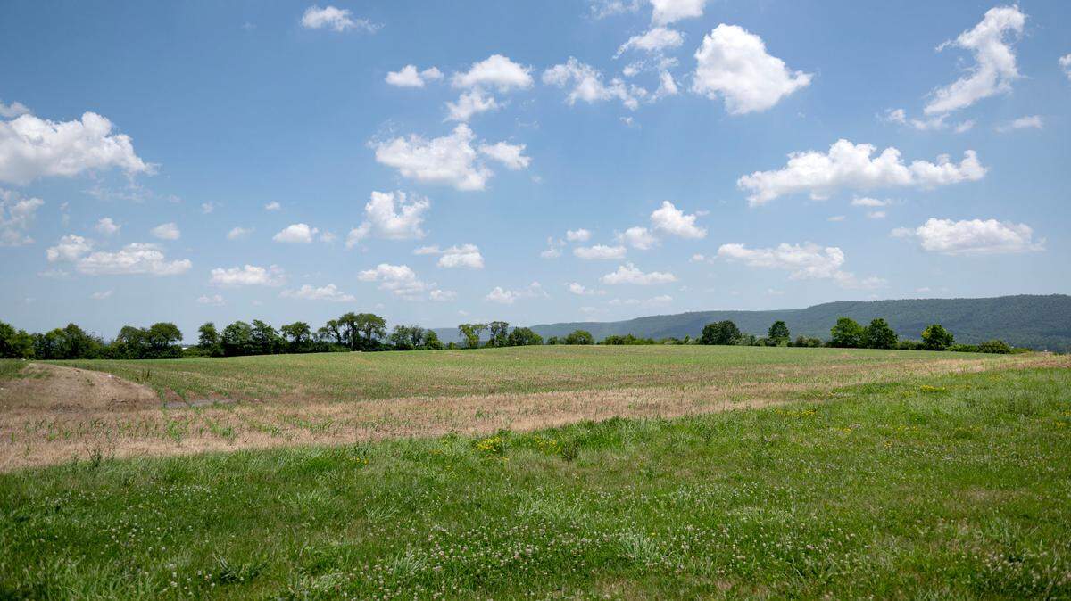 Land off of Rishel Hill Road and Venture Drive is pictured on Tuesday, June 24, 2025.
