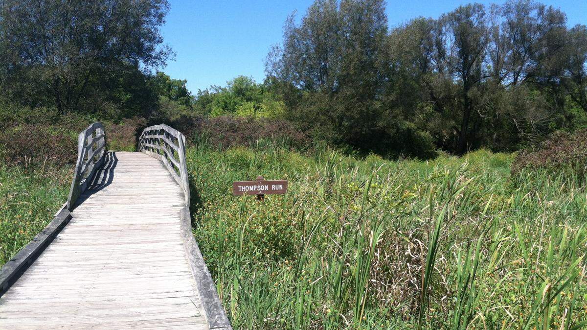 Centred Outdoors will host free guided hikes at Millbrook Marsh Nature Center.