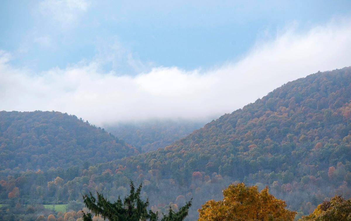 After last year’s warm and wet summer led to a less vibrant fall season in Centre County, leaf peepers are expected to have more luck this fall.