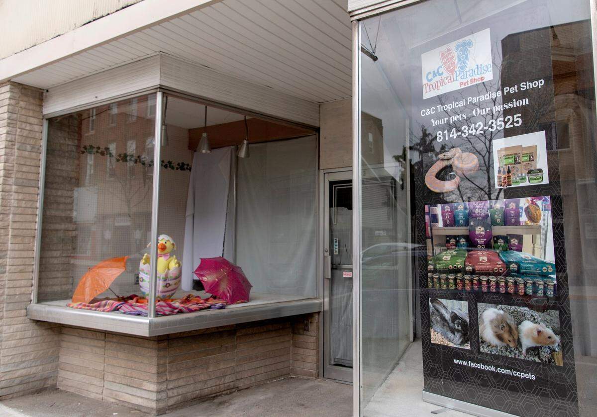 C&C Tropical Paradise Pet Shop is now open on Front Street in Philipsburg.