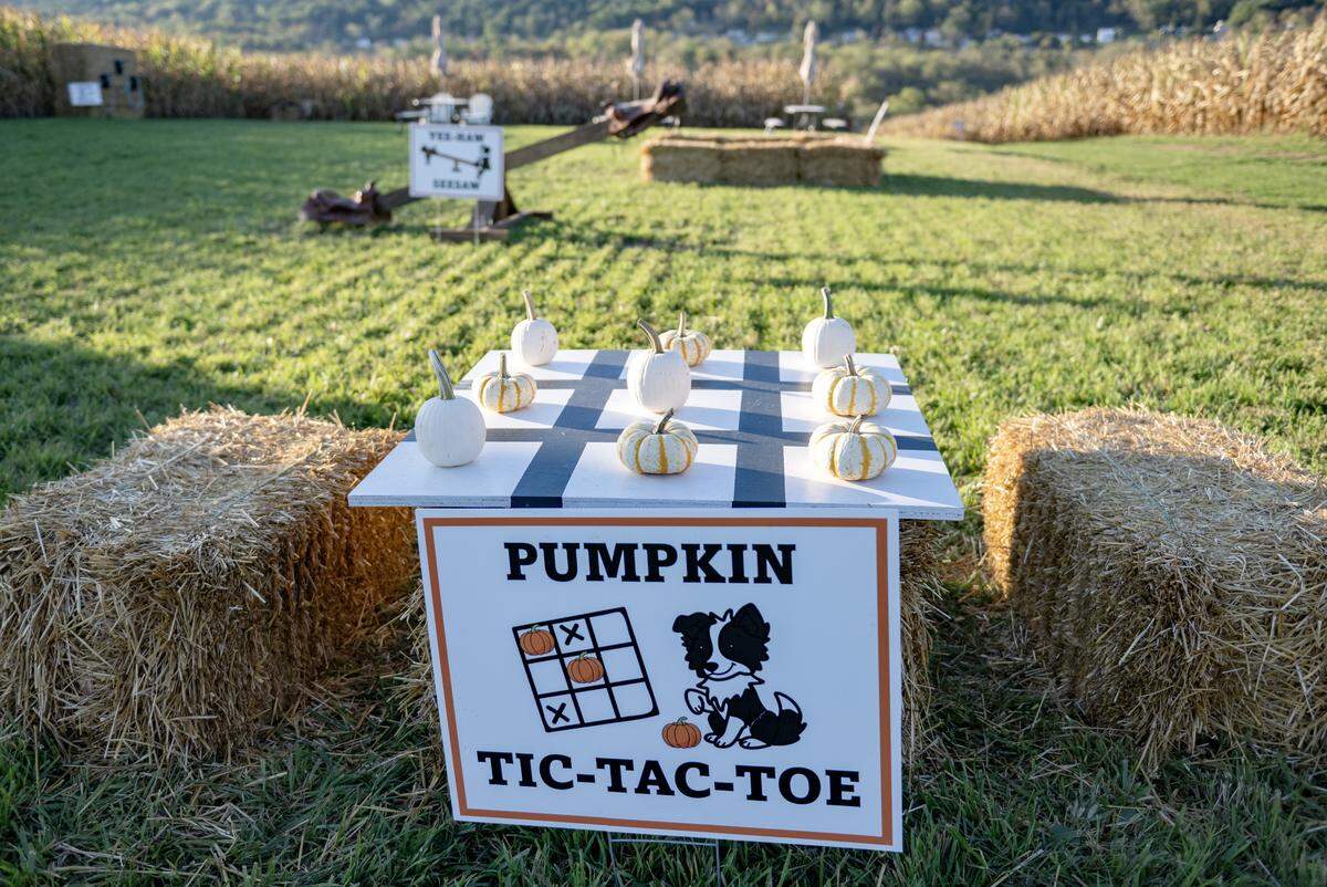 Pumpkin tic-tac-toe and other farm games at Mountain Edge Farm on Monday, Oct. 6, 2025.