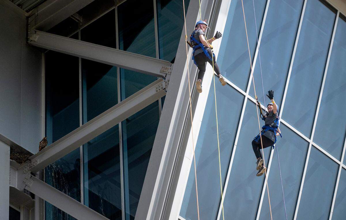 Mary Potter and Christa Hosterman wave to friends as they rappel down the side of Beaver Stadium for the Centre County United Way Over the Edge fundraiser on Friday, May 19, 2023.
