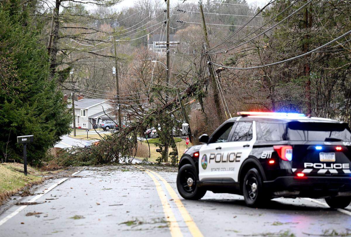 A tree and wires were down on Houserville Road after a severe storm on Sunday, March 16, 2025.