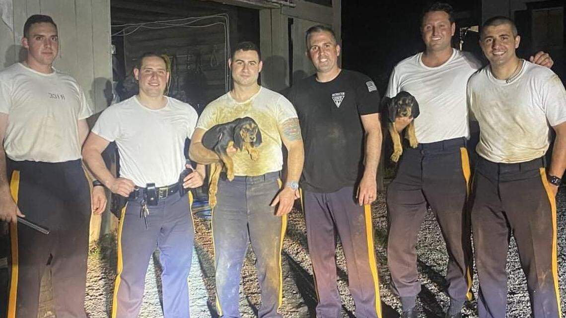 After a report that three puppies had fallen into a 10-foot trench, New Jersey troopers spent hours trying to fish them out with a rope and mop handle.