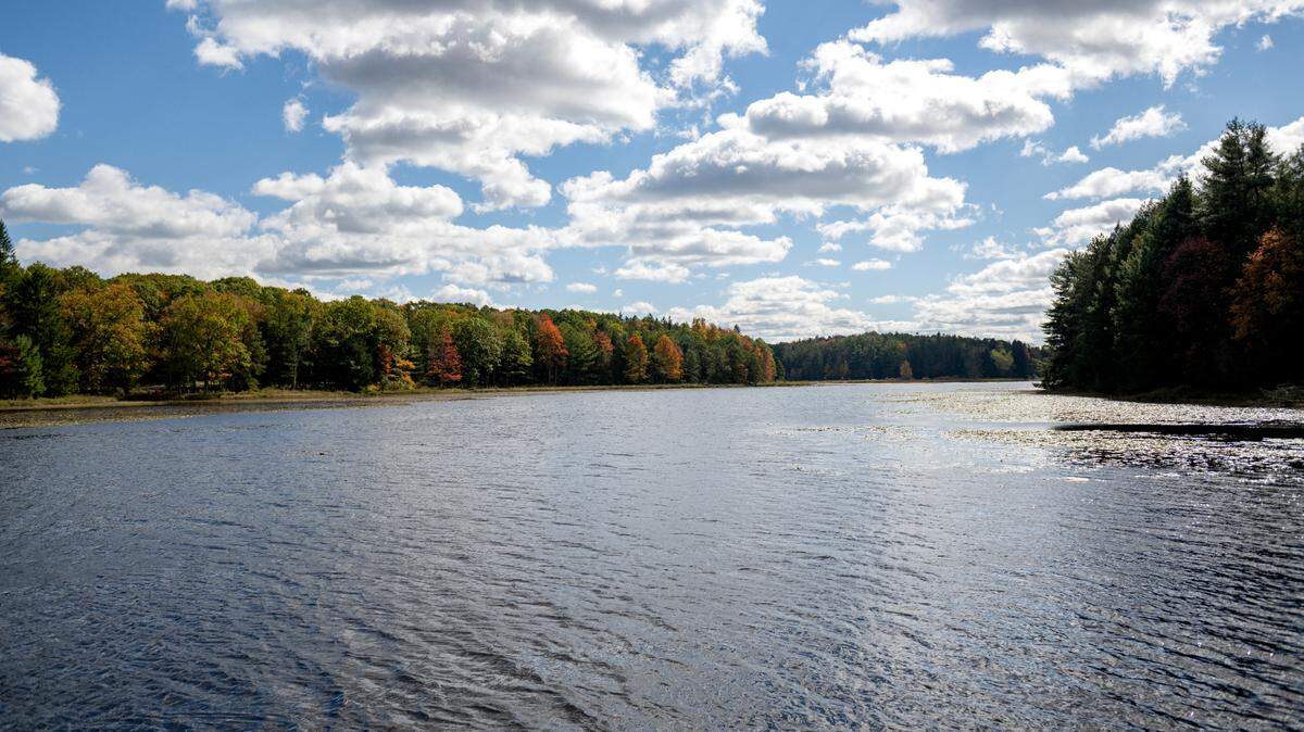 The trees start to change at Black Moshannon State Park in this October 2024 file photo. The park is one of nine in Pennsylvania that recently made a best-of list.