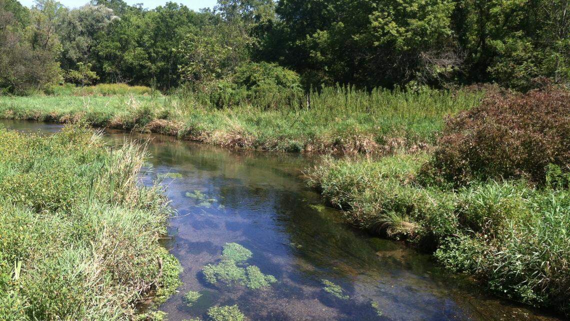 Wetlands, wildlife and wellness: Explore Millbrook Marsh Nature Centre in Centre County