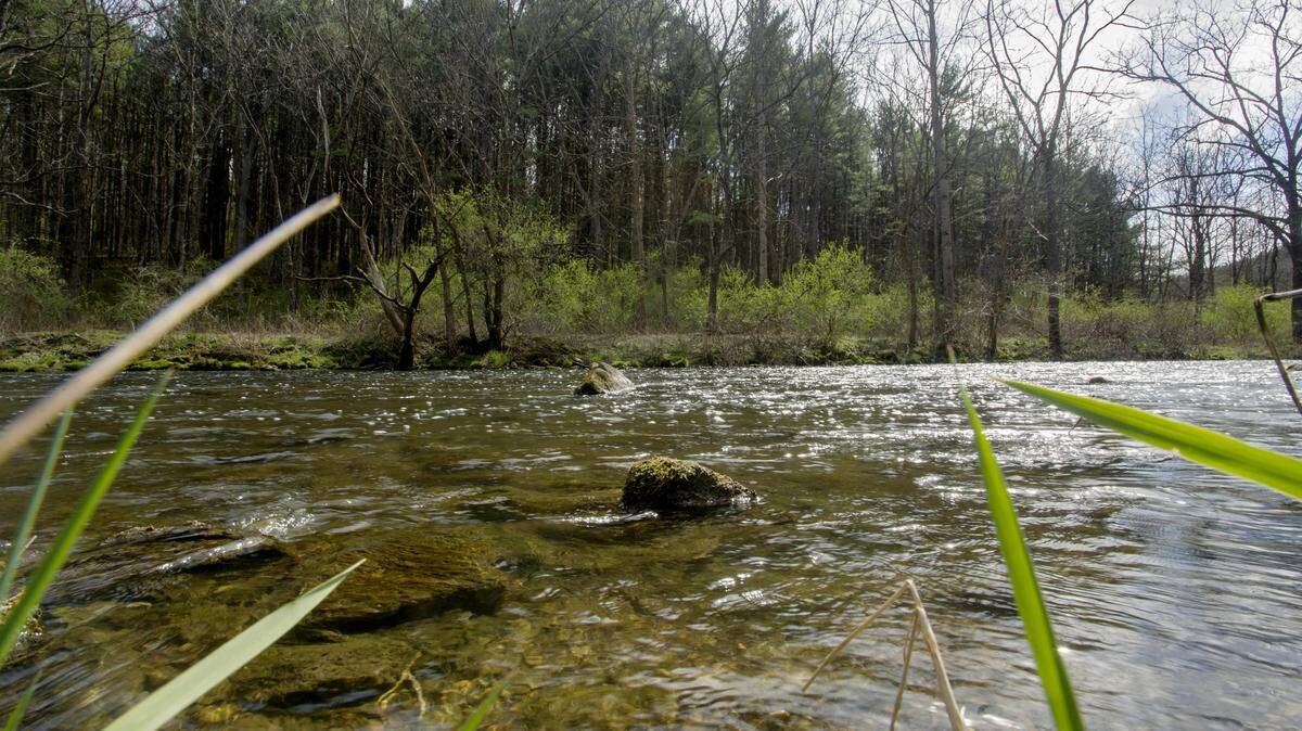Centred Outdoors will host a guided hike at Spring Creek Canyon on Sunday and Wednesday.