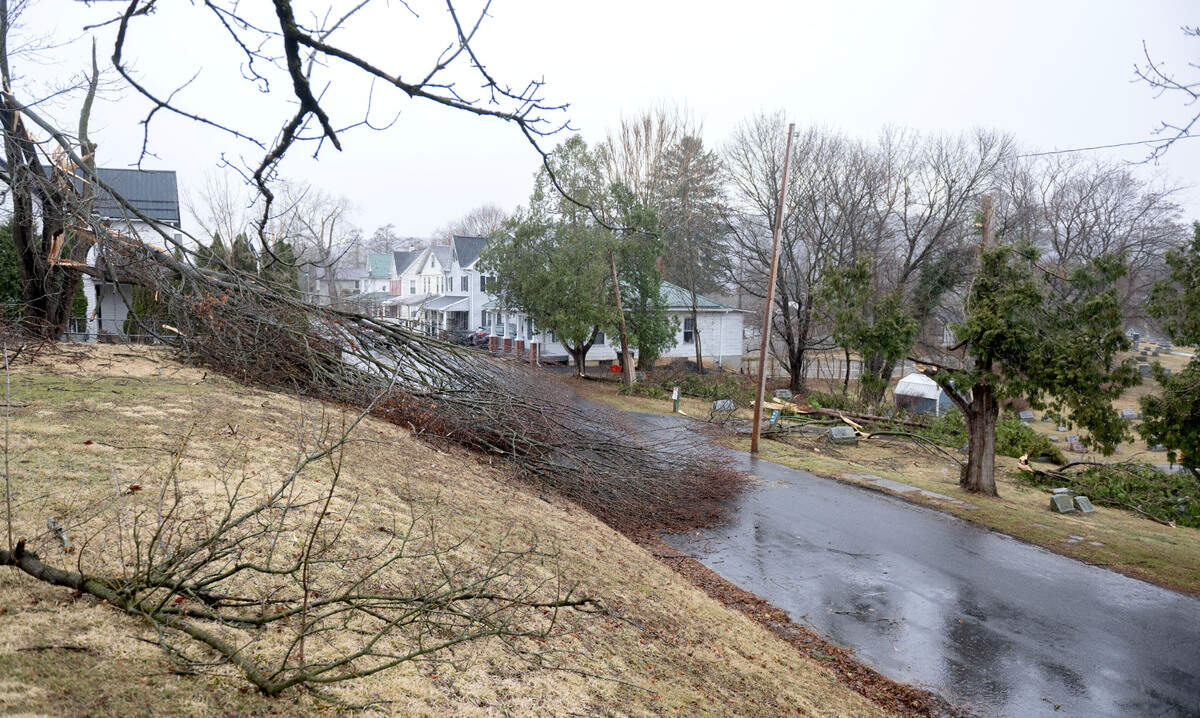 Branches down along high East High Street and in Union Cemetery in Bellefonte.