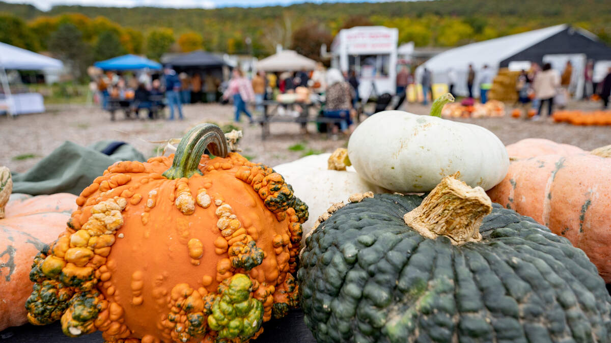 Fall produce and festivities are available across Centre County this autumn, including Rooted Farmstead in Bellefonte, pictured here in 2022.