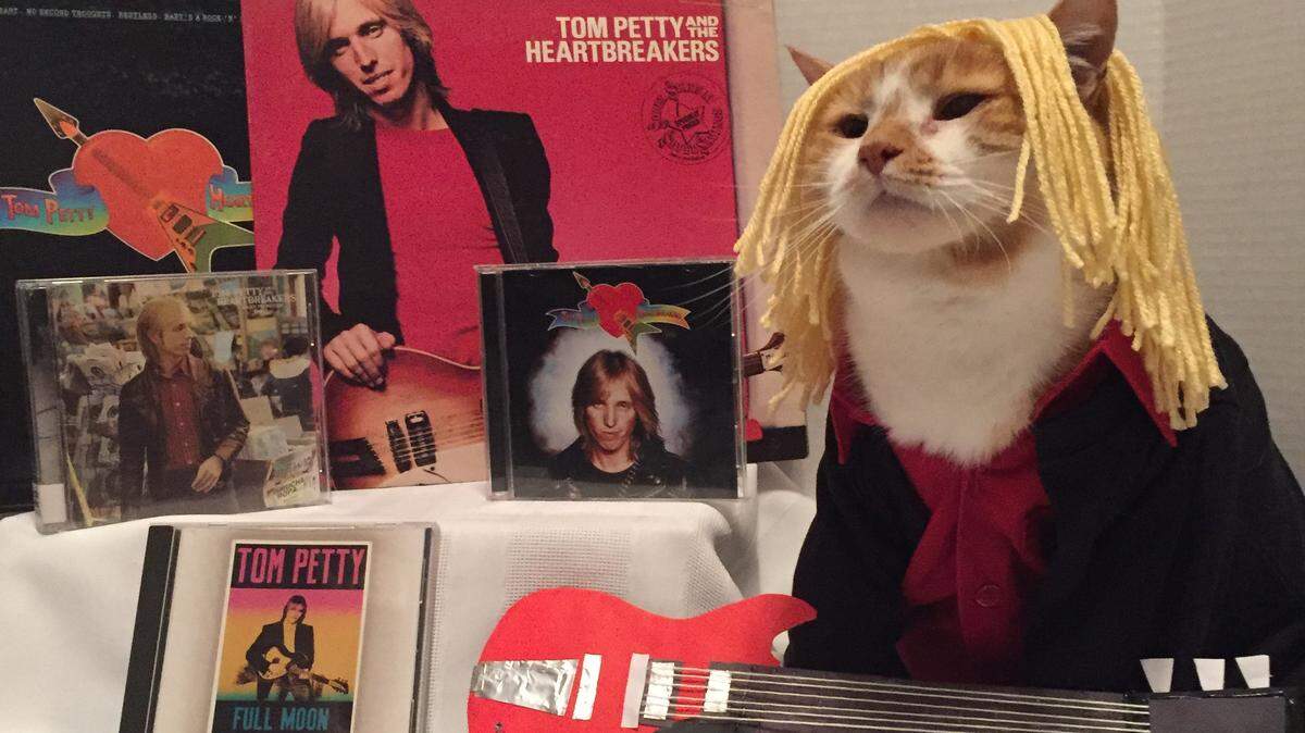 Horatio dresses up as “Tomcat Petty” for a “caturday” social media post for the Centre County Library and Historical Museum. A 2019 Caturday Calendar features Horatio’s various costumes.
