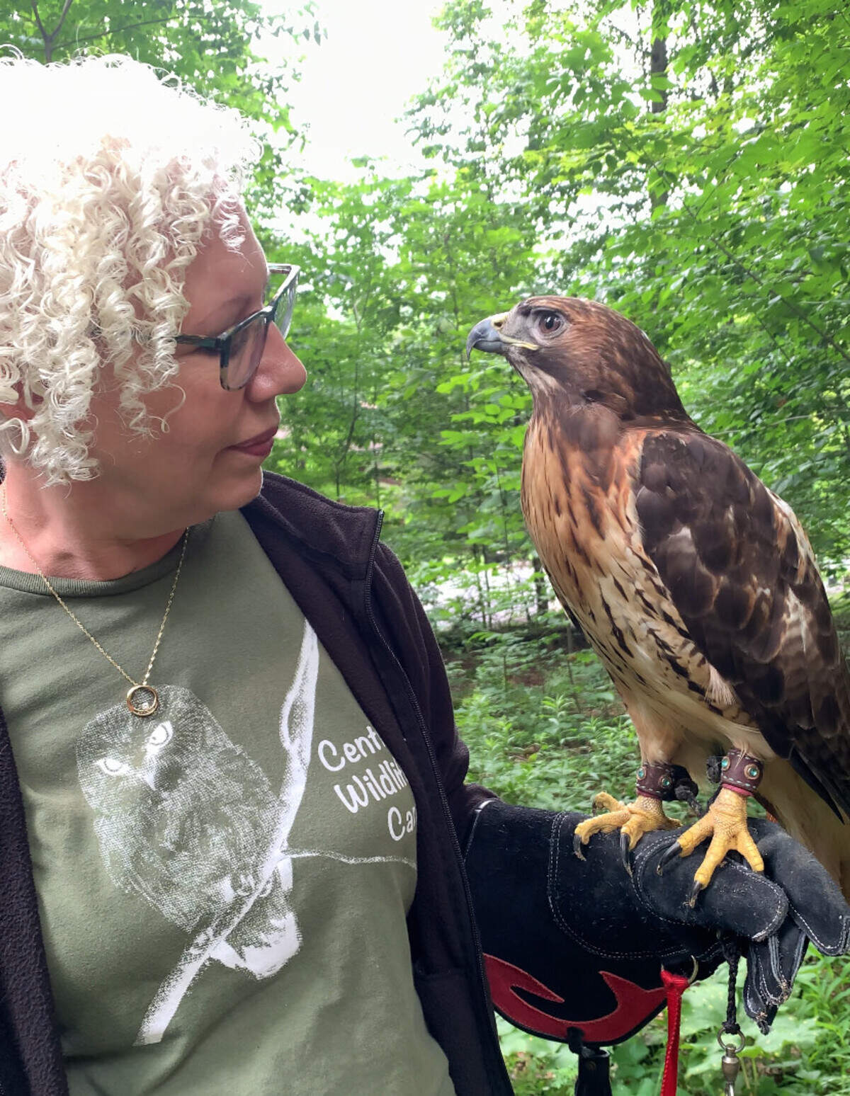 Robyn Graboski, founder and executive director of Centre Wildlife Care, holds Andromeda. Andromeda is a 5-pound red-tailed hawk that’s used as an education animal.