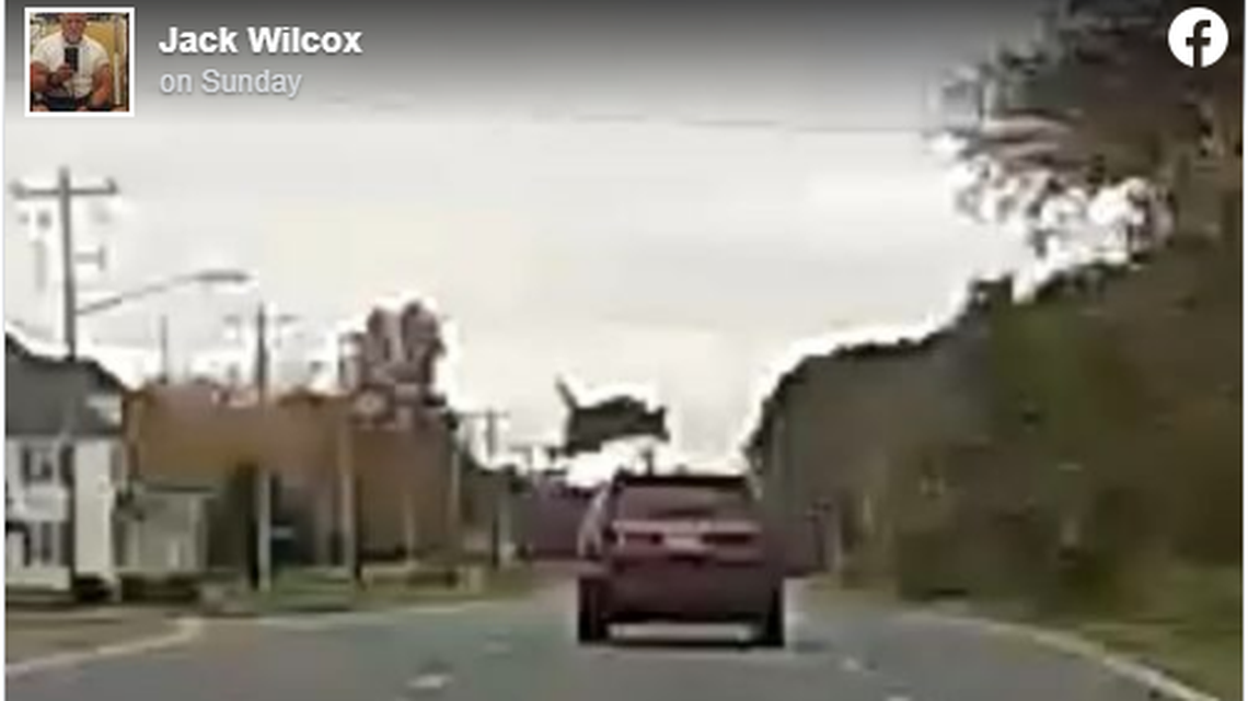 A whitetail deer was recorded jumping over a moving vehicle in Maryland Sunday, Nov. 21.