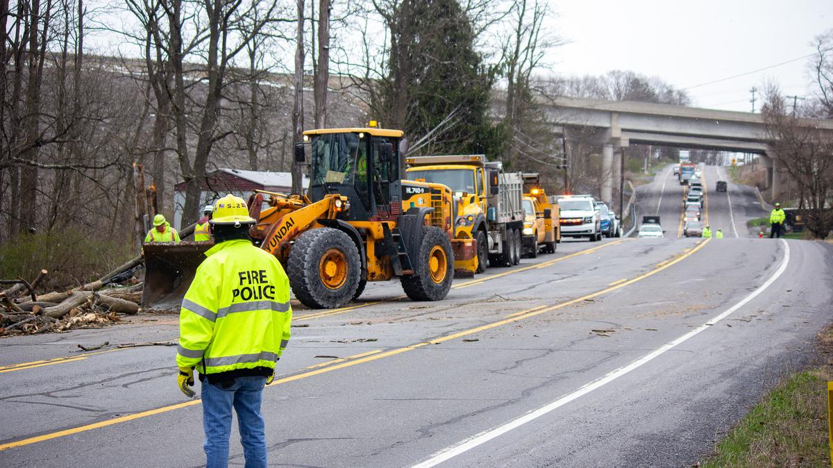 A downed tree caused an internet service outage and traffic disruption Friday afternoon when it fell into some power lines on North Atherton Street between Skytop Lane and state Route 550.