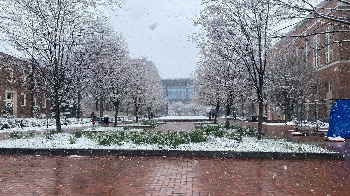 Snow falls on the Penn State campus in April 2022. Centre County was under a winter weather advisory for most of the day.