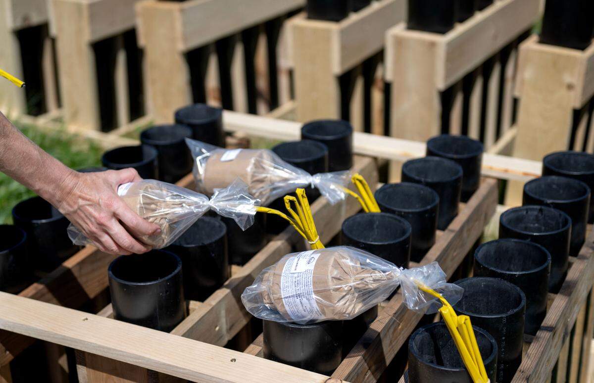 A crew from StarFireCorporation sets up the fireworks for the Central PA 4th Fest show on Monday, July 1, 2024. Each firework shell has an “address” and must be placed in a specific tube where it is wired with an e-match and is connected to the a computer system.