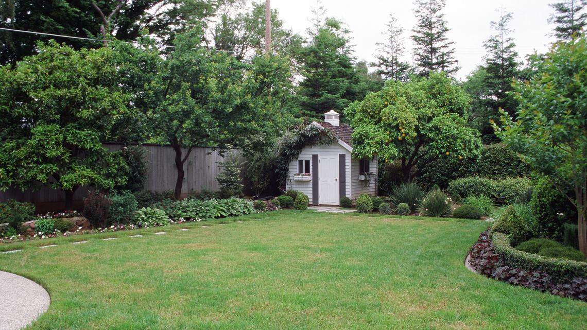 Want healthy, long-lasting trees in your yard? Here’s what not to do