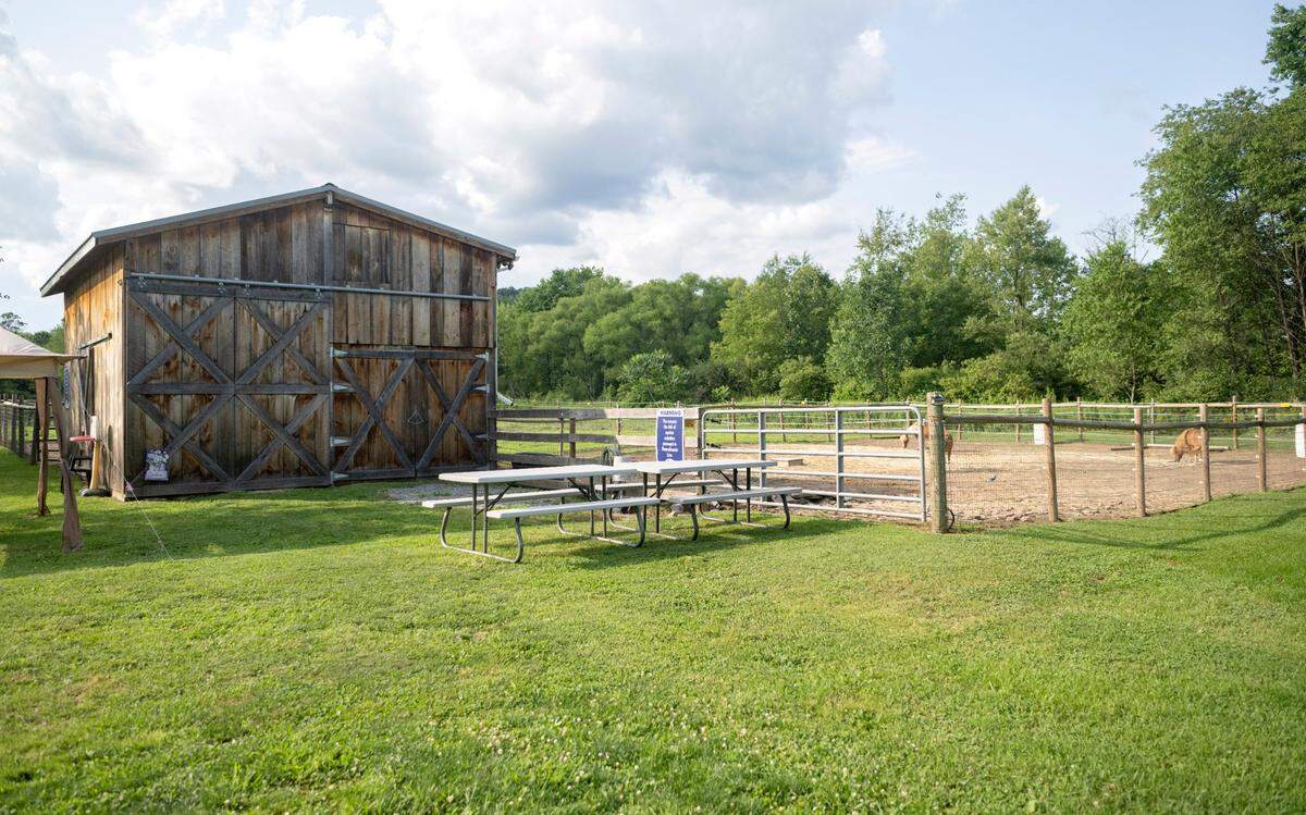 The barn and one of the grazing areas at Mini Whinnies at Quarter Acre Wood in Port Matilda on Monday, July 31, 2023.