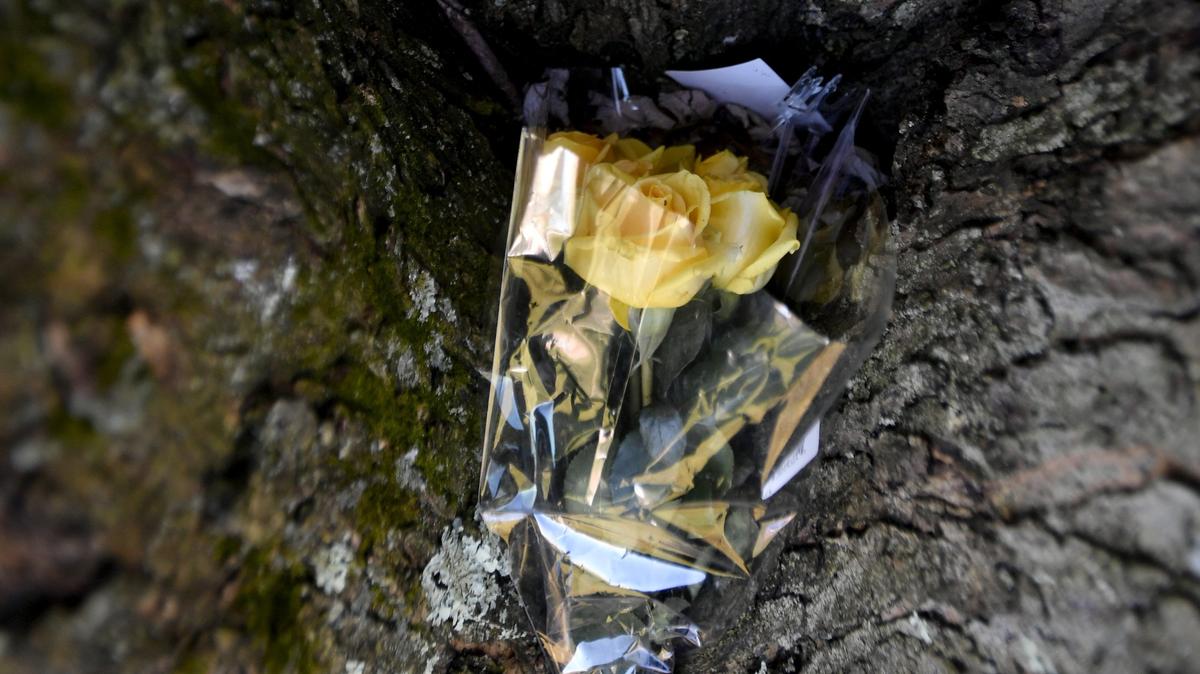 A bouquet of yellow roses with a heartfelt note were left in a tree in Tudek Park on Tuesday, Dec. 18, 2018. The note read “From one survivor to another, I am glad you’re still here. You are not alone. Believe me when I say that the sun will shine again.”