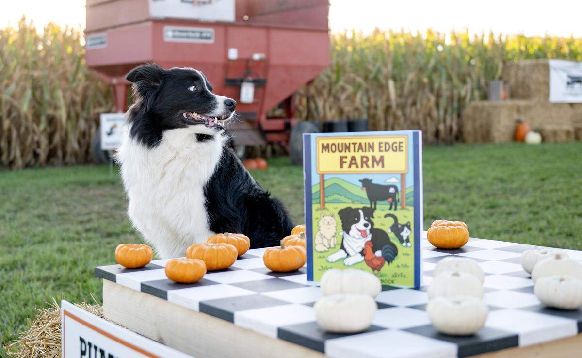 Flynn sits next to his coloring book at Mountain Edge Farm on Monday, Oct. 6, 2025. 
