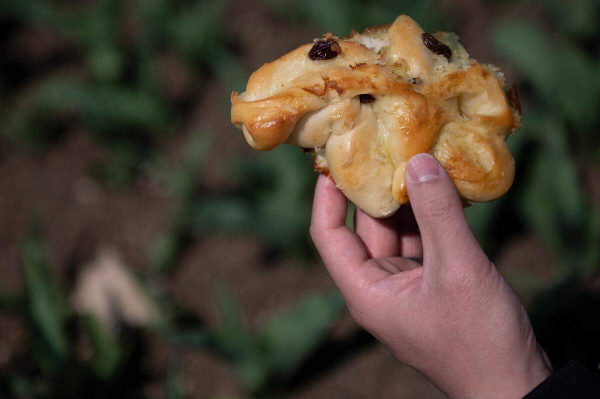 Skye Chang, owner of Chew Chew Bun Asian Bakery, holds a baked good on April 6, 2021 at The Arboretum at Penn State.