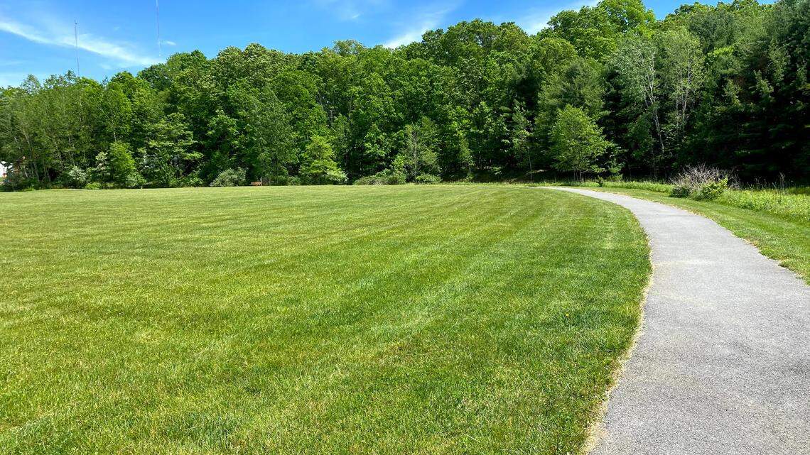 From the park to the pond: Exploring Port Matilda’s Graysdale Park with guided hikes