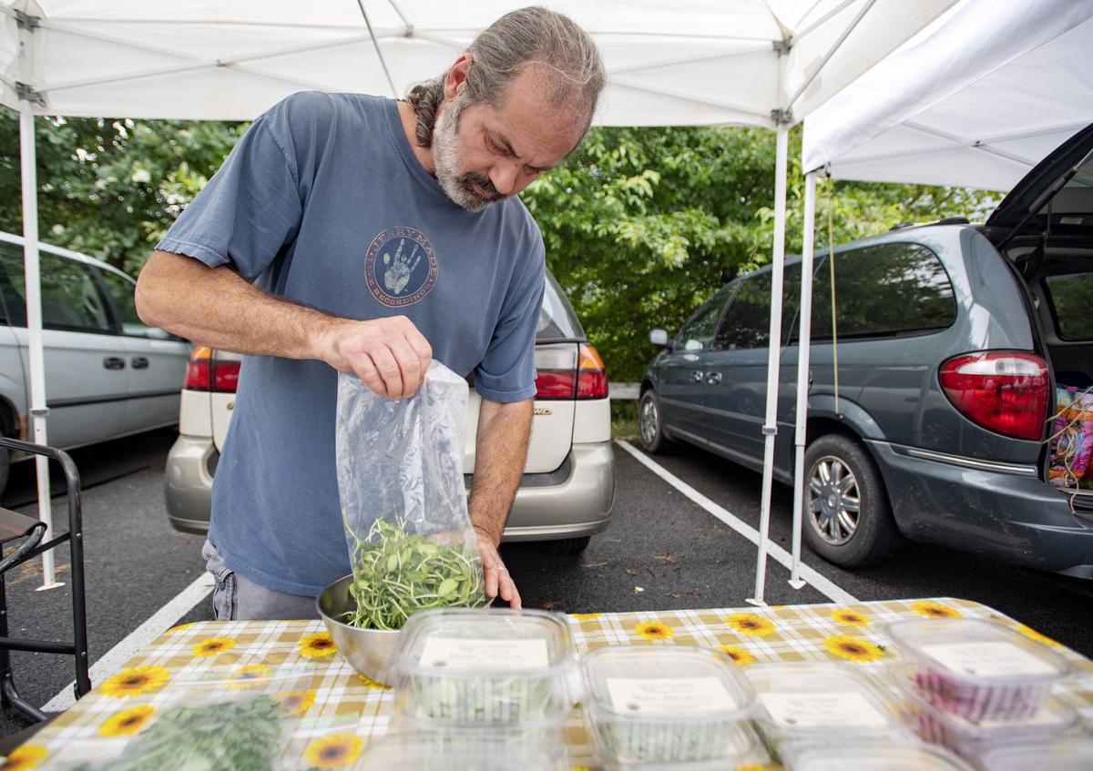 Dan Klock of GreenSpace pours some organic black oil sunflower sprouts into a bowl at the Boalsburg Farmers Market. CentreMarkets, a project of the Boalsburg Farmers Market, will help bring farmers markets in Centre County together under one marketing umbrella.