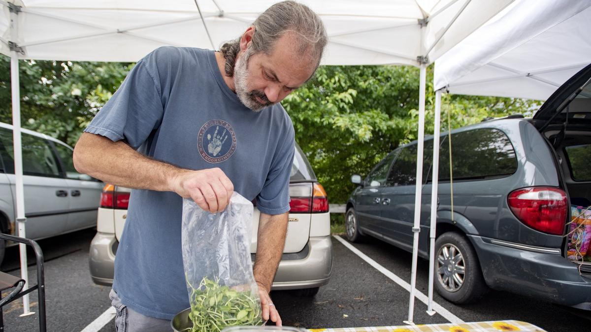 Dan Klock of GreenSpace pours some organic black oil sunflower sprouts into a bowl at the Boalsburg Farmers Market on Tuesday.