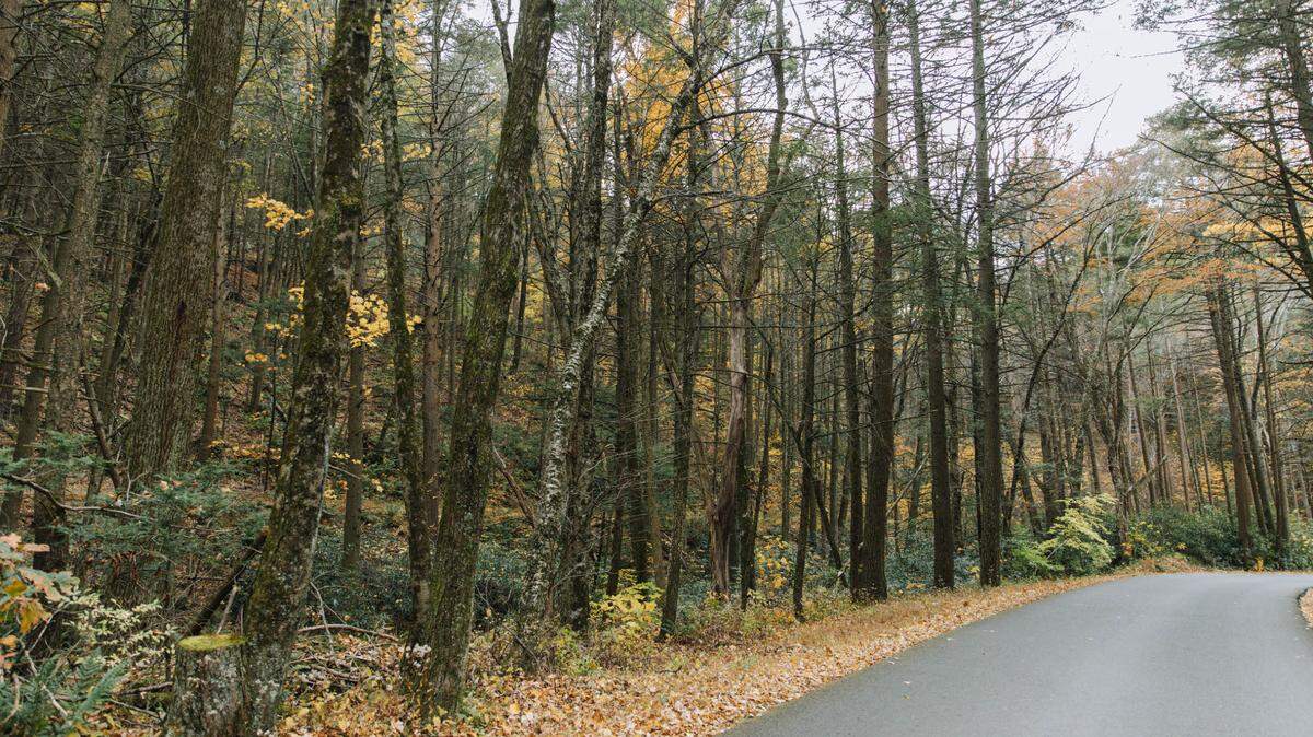 Rothrock State Forest in rural Huntingdon County, Pennsylvania.
