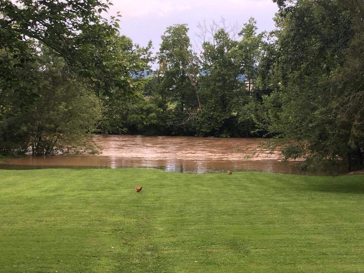 Sarah took this photo of her backyard on the Frankstown branch of the Juniata River in Alexandria, Huntingdon County.