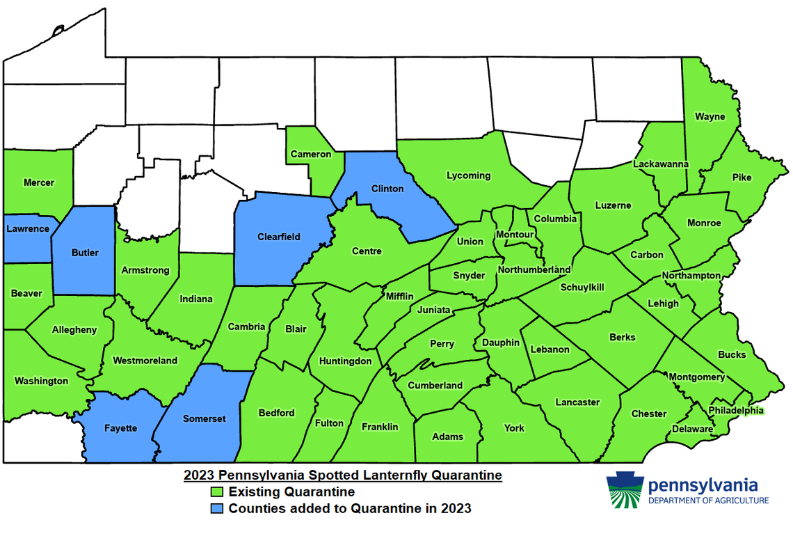 Fifty-one of Pennsylvania’s 67 counties are now under the commonwealth’s spotted lanternfly quarantine.