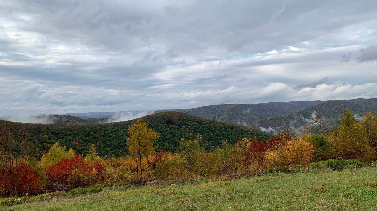 Bucktail Overlook, nicknamed Top of the World, in Cameron County is seen in this file photo. The county was recently named the poorest in the commonwealth by financial website SmartAsset.