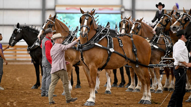 Centre County Grange Fair is winding down. Here’s a look at photos from the past week