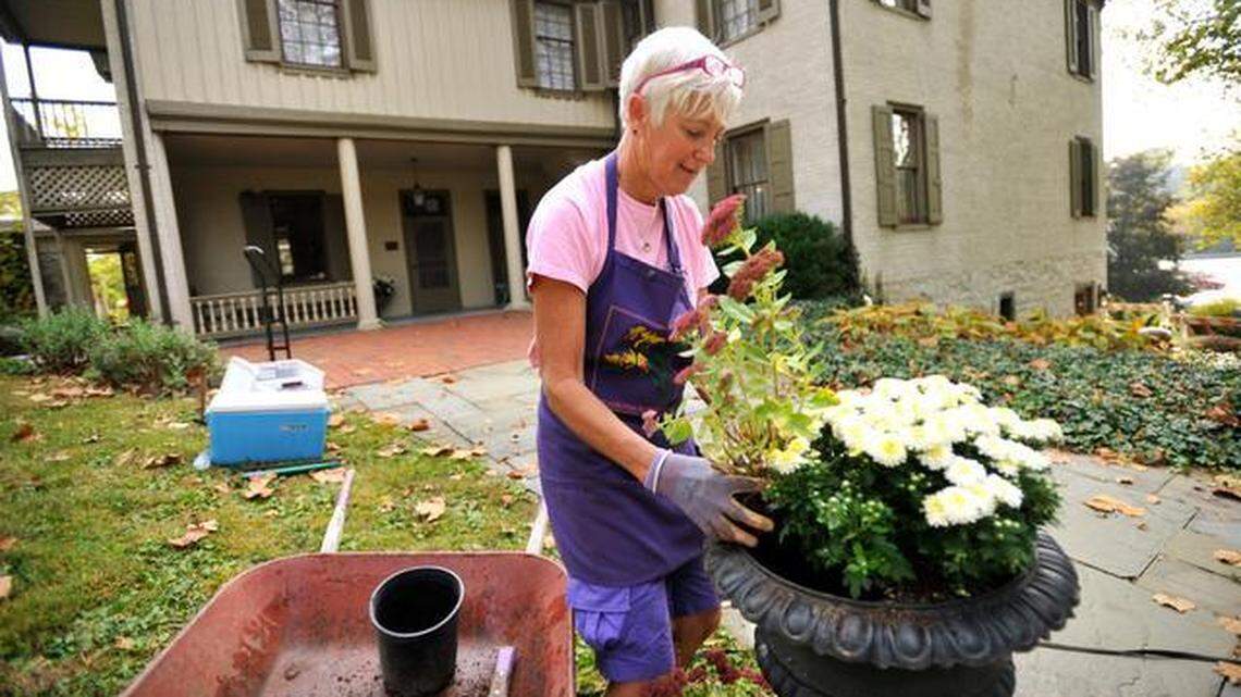 Grab your boots and cowboy hat for a country-style start to the week: Scene & Heard