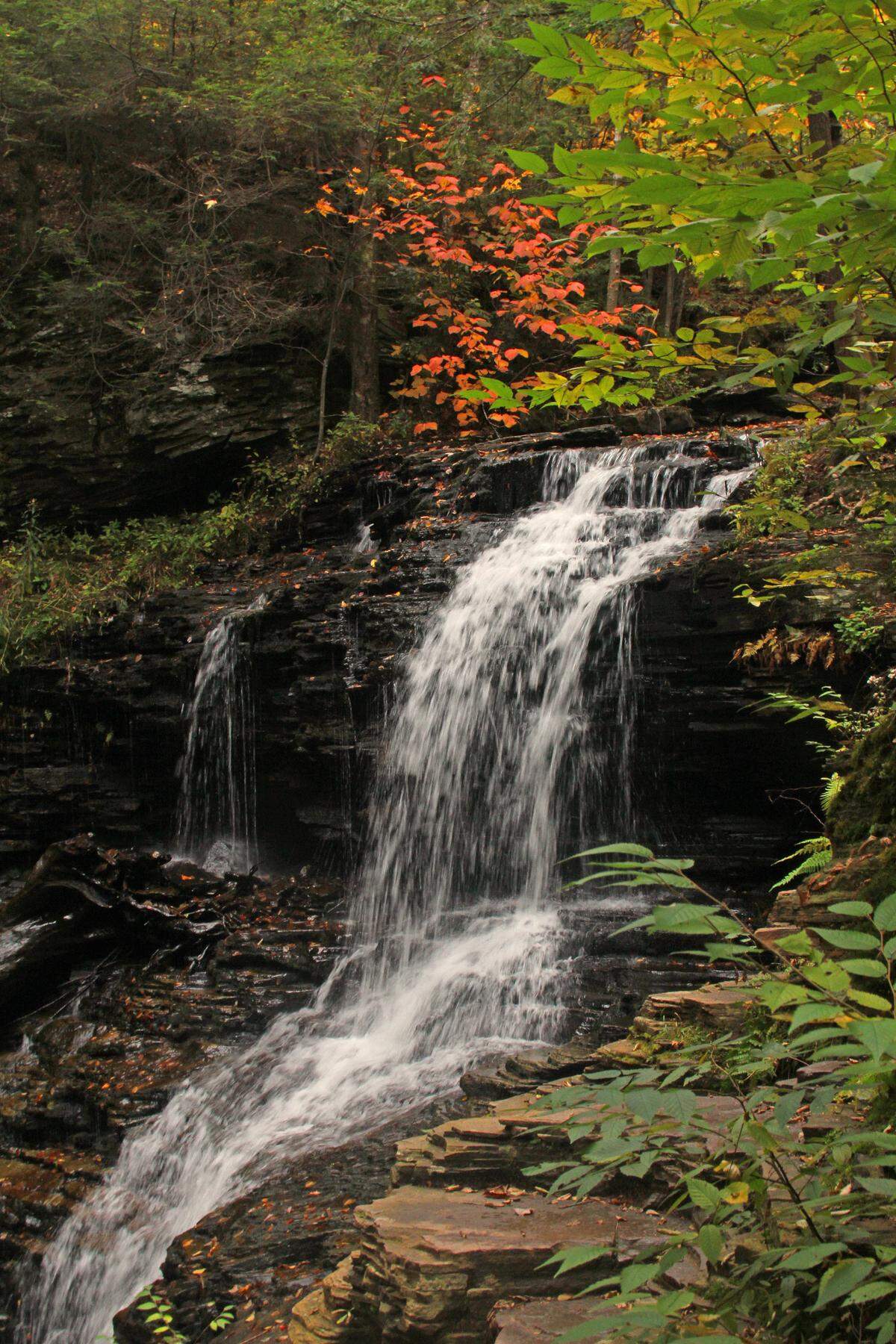 Shawnee Falls, one of over 20 named falls at Ricketts Glen State Park.
