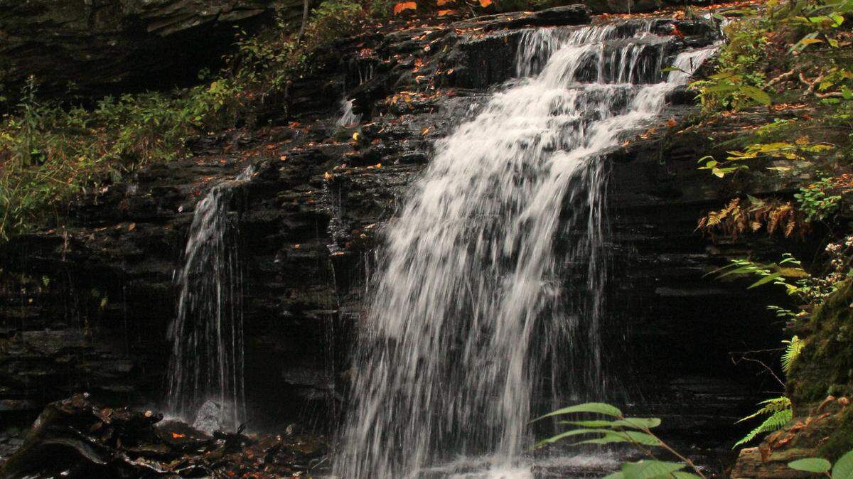 Shawnee Falls, one of over 20 named falls at Ricketts Glen State Park.