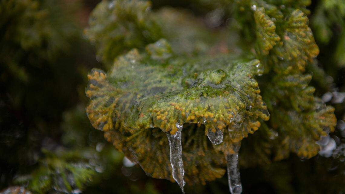 Freezing rain on the way to central PA. Here’s when and how it will affect your commute