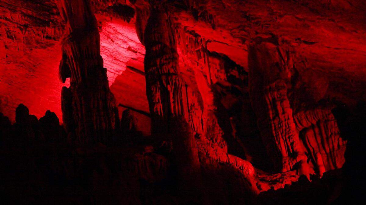 Penn’s Cave took a big hit in 2020. Why it could be ‘perfectly positioned’ to bounce back faster