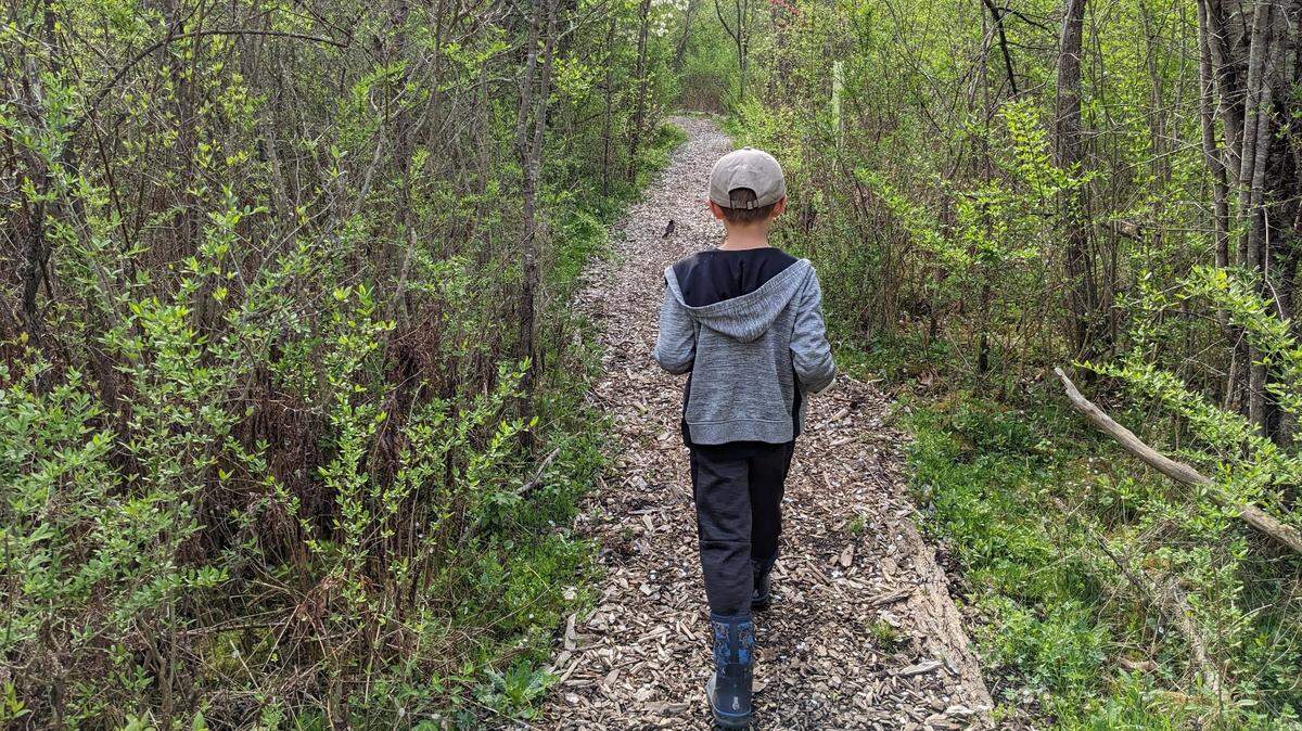 The Boal Estate features three miles of mulched trails featuring diverse flora and conservation projects.