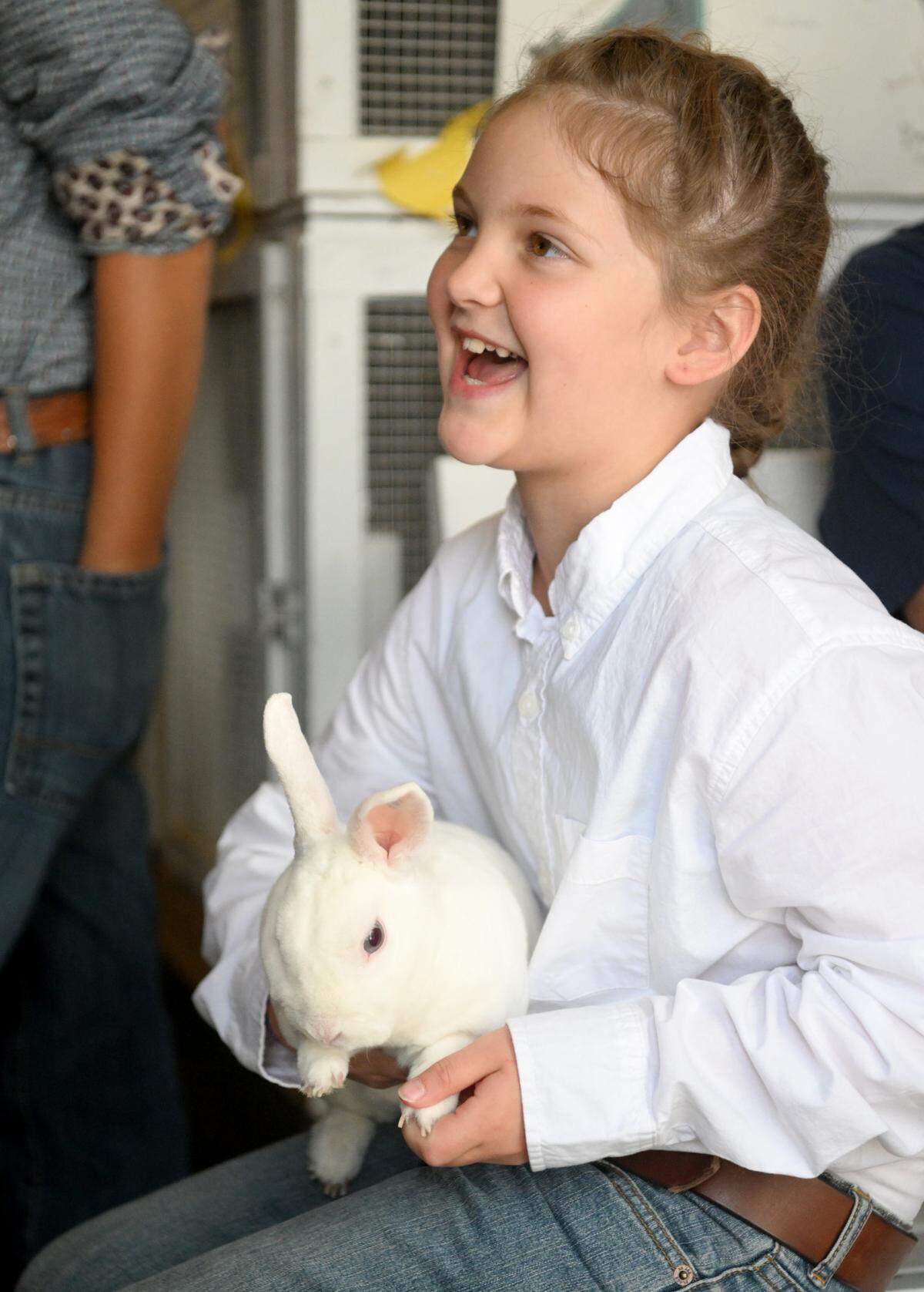 Juliette Everheart, 8, holds one of her rabbits Snowball at the Centre County Grange Encampment and Fair on Friday, Aug. 18, 2023.  Juliette showed Snowball on Thursday night and placed second.  