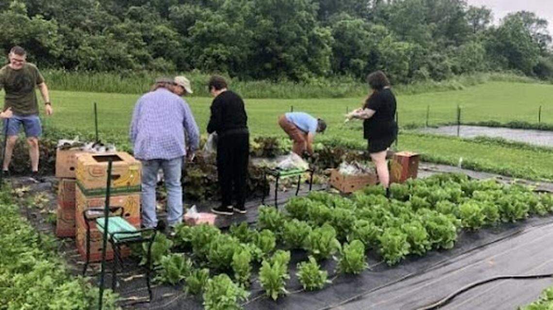 Helping hands: How Think We Not Me combats food insecurity in Centre County