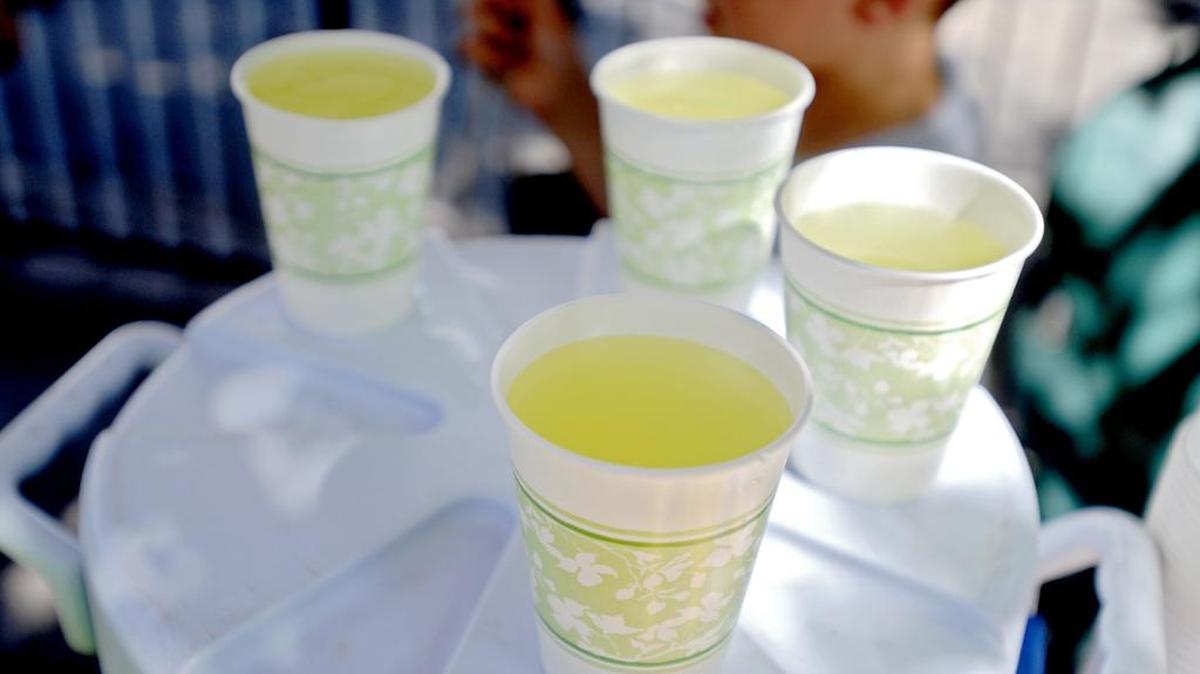 The Herlocher family started a lemonade stand in front of their home on Fairmont Street during the Central Pennsylvania Festival of the Arts 9 years ago.